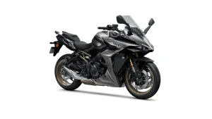 Suzuki GSX-S1000GT